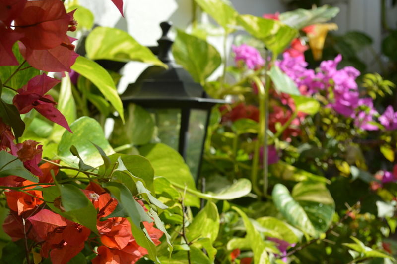 Casa Mary Hotel Cartagena Eksteriør billede